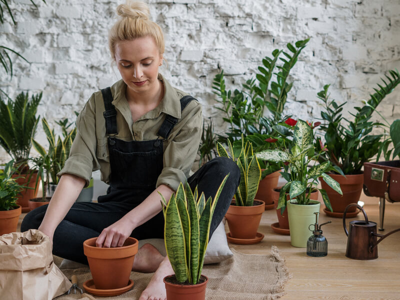 IA para Pymes: Soluciones accesibles y de alto impacto para negocios de todos los tamaños